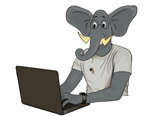 COMMUNITY MANAGEMENT